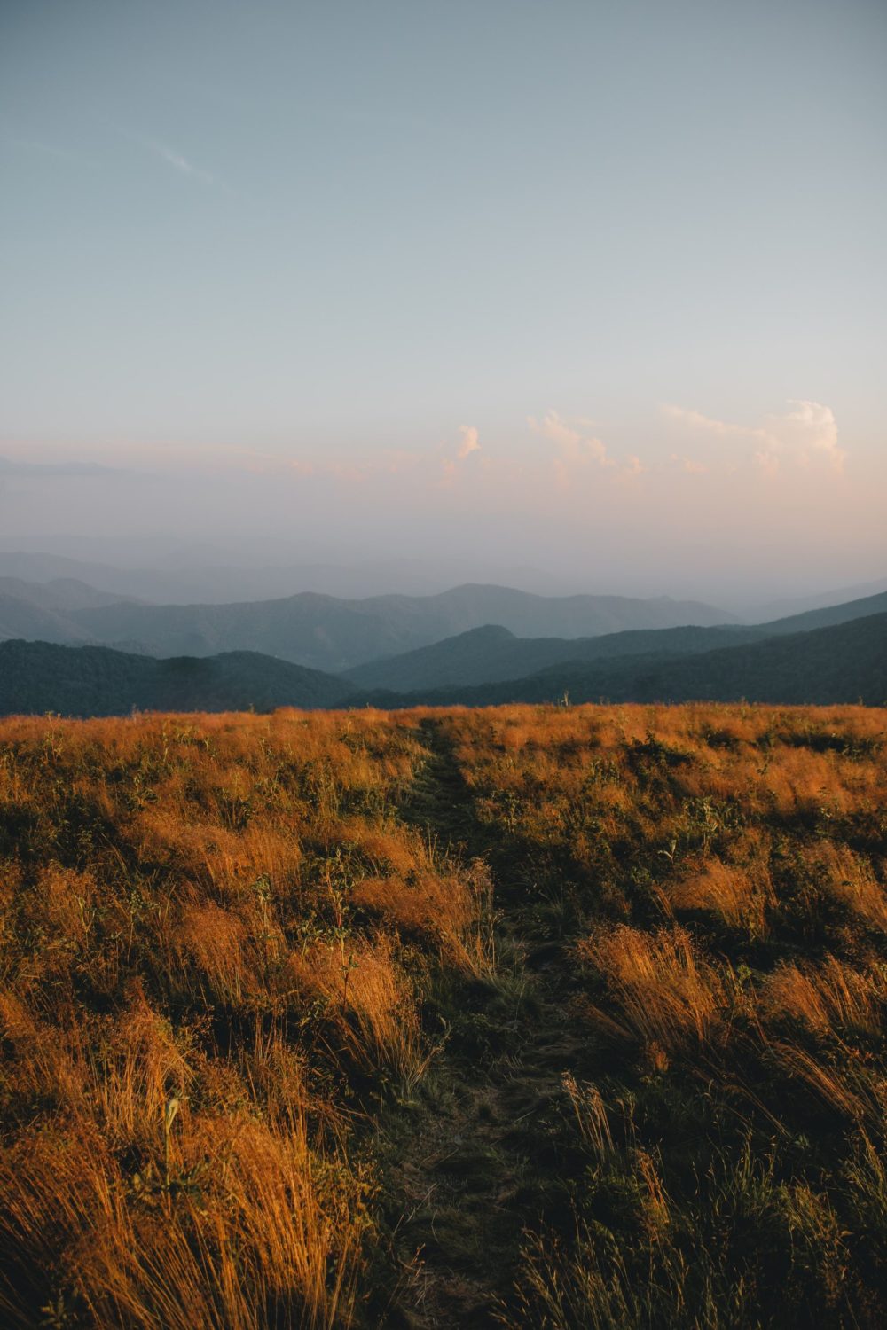 Roan Mountain in Tennessee at sunset