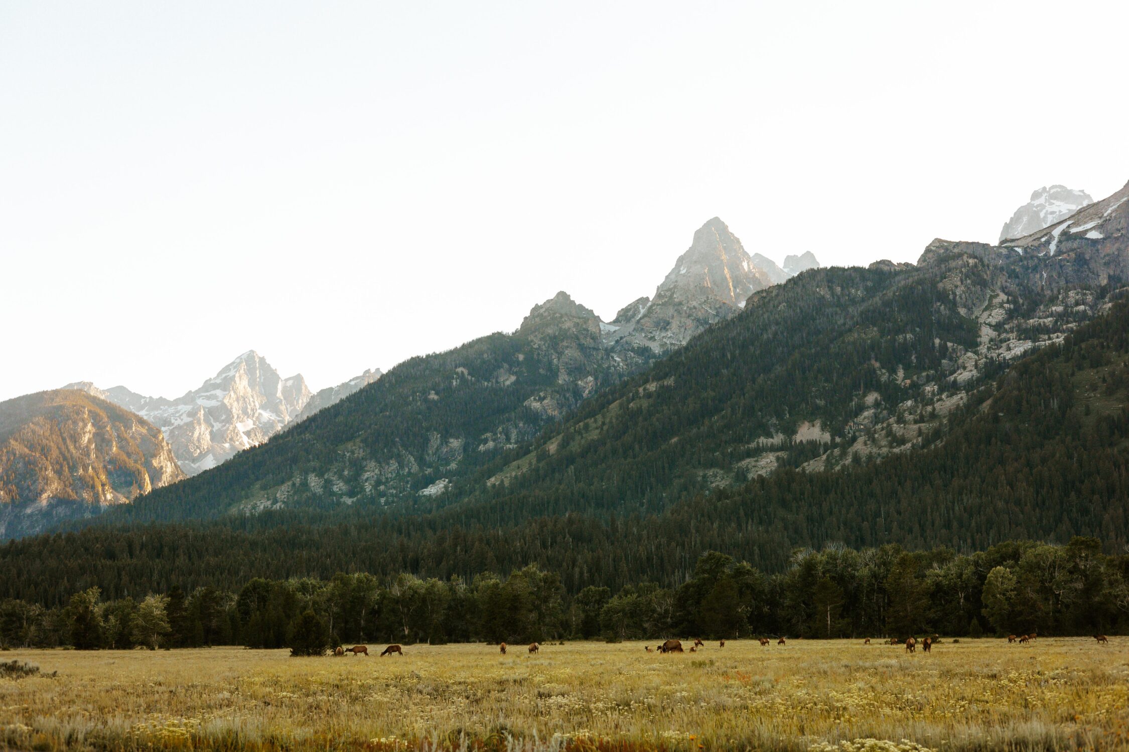 The Tetons Grand Teton Wyoming Grand Teton Mountain Range Engraved