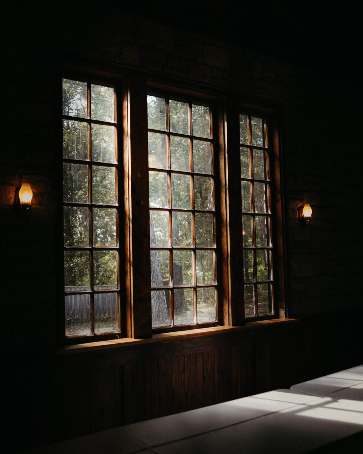 A window in Assembly Hall at Cedars of Lebanon State Park.