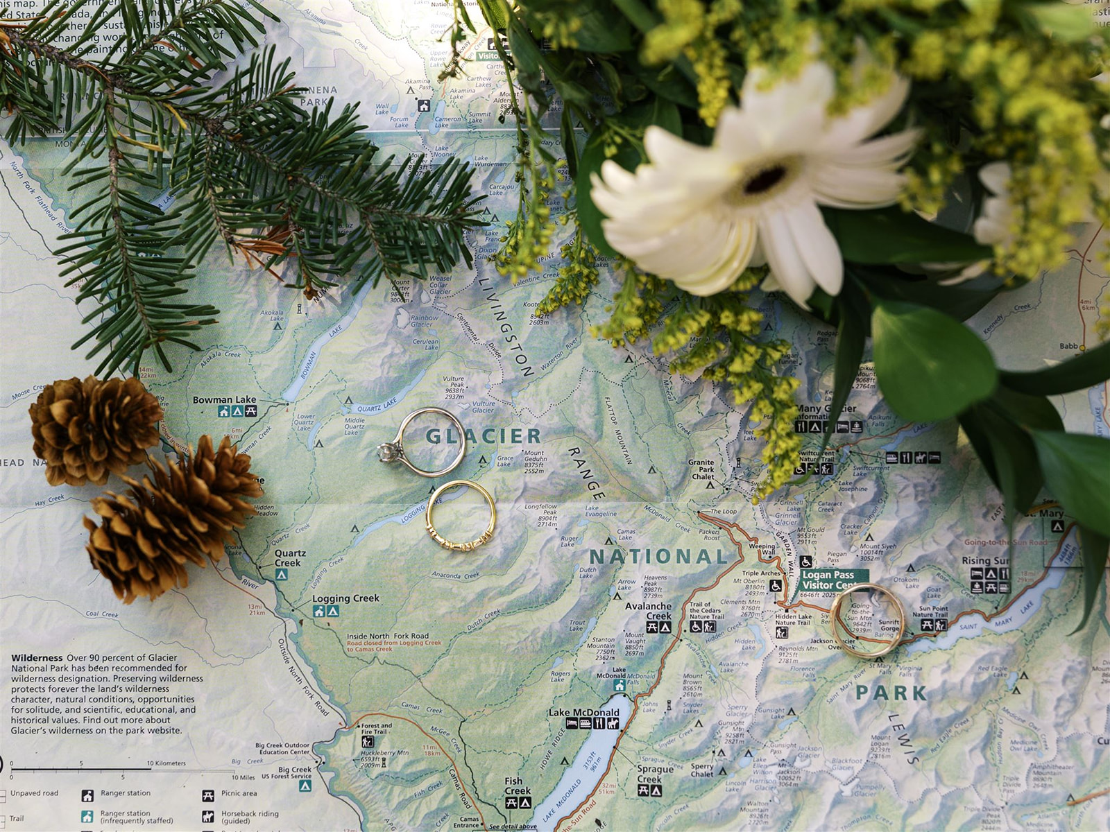 Glacier National Park Elopement 