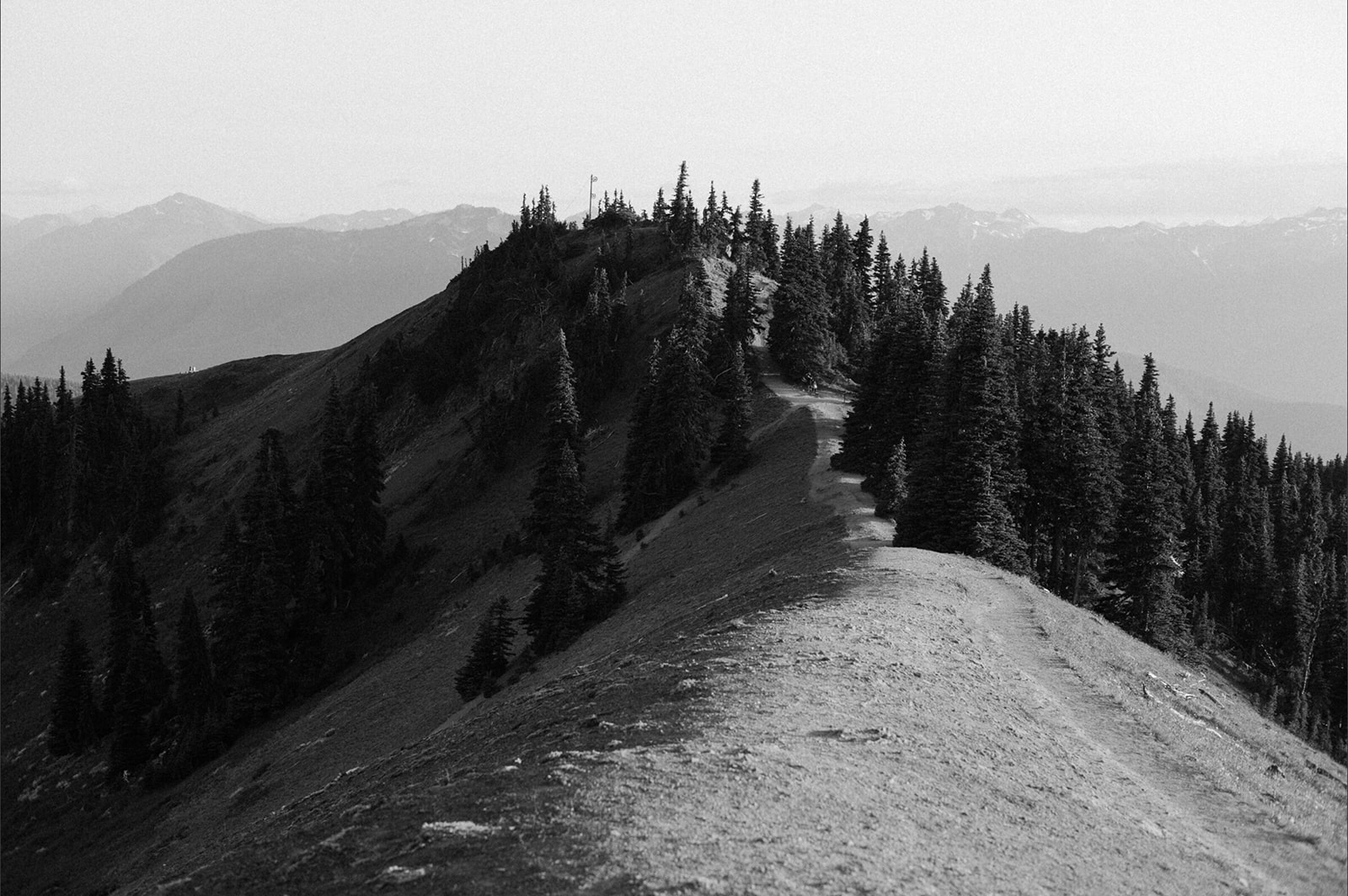 Olympic National Park Elopement