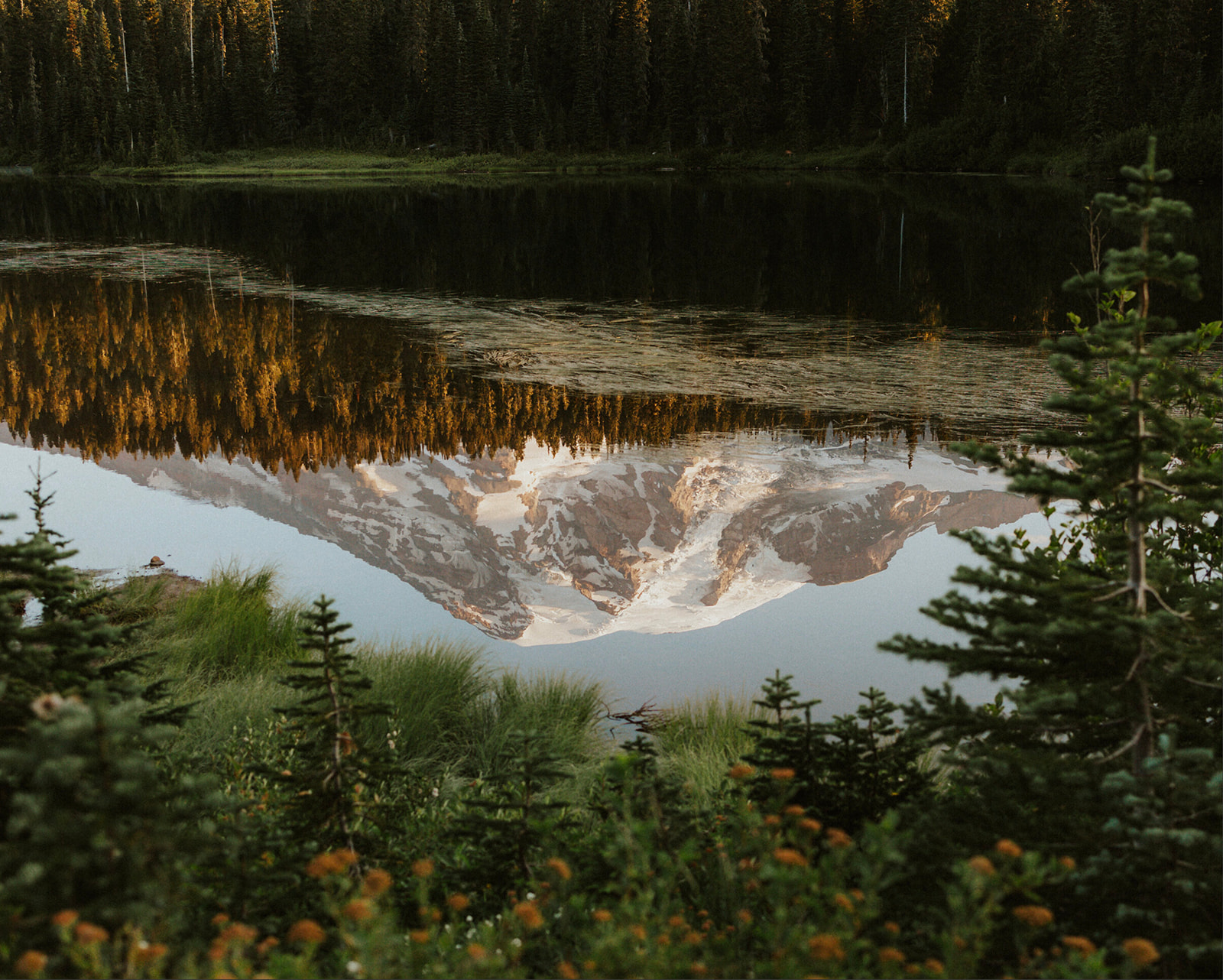 Mt Rainier National Park Elopement