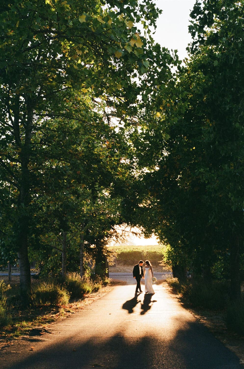 Film photography at a National Park Elopement