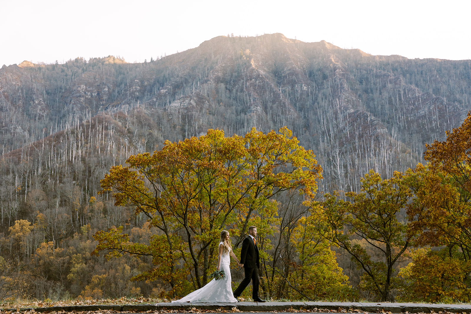Smoky Mountain National Park Elopement