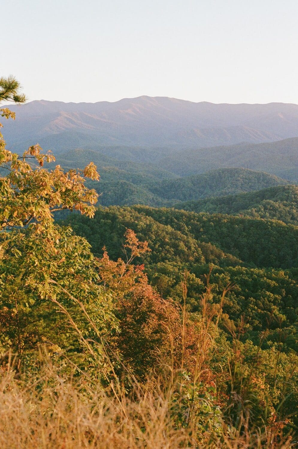 Smoky Mountain National Park Elopement