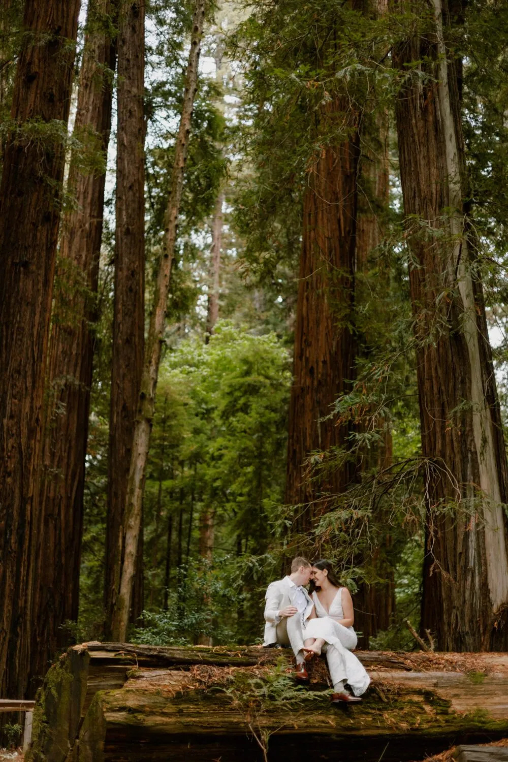 Redwoods National Park Elopement