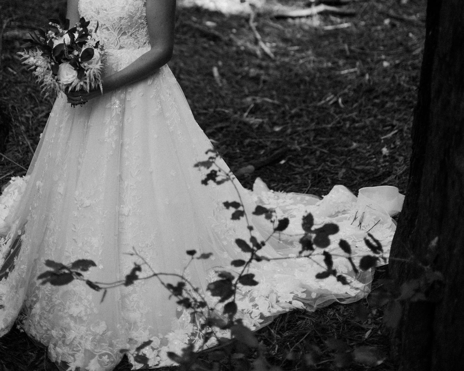 Redwoods National Park Elopement