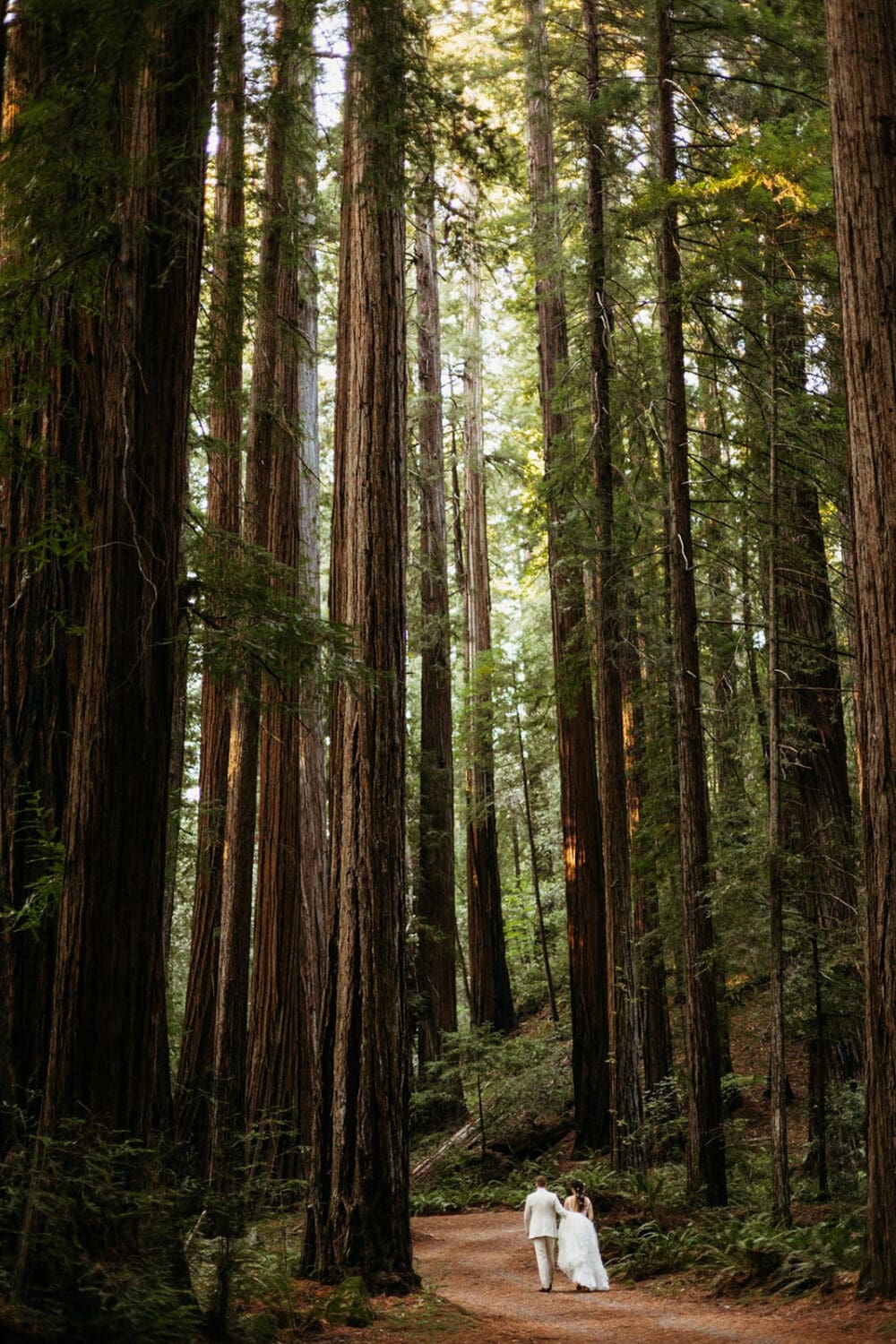 Redwoods National Park Elopement