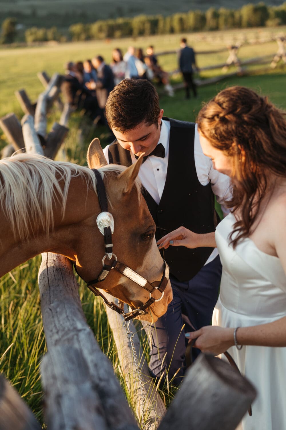 Summer Diamond Cross Ranch Wedding in Jackson Hole, Wyoming