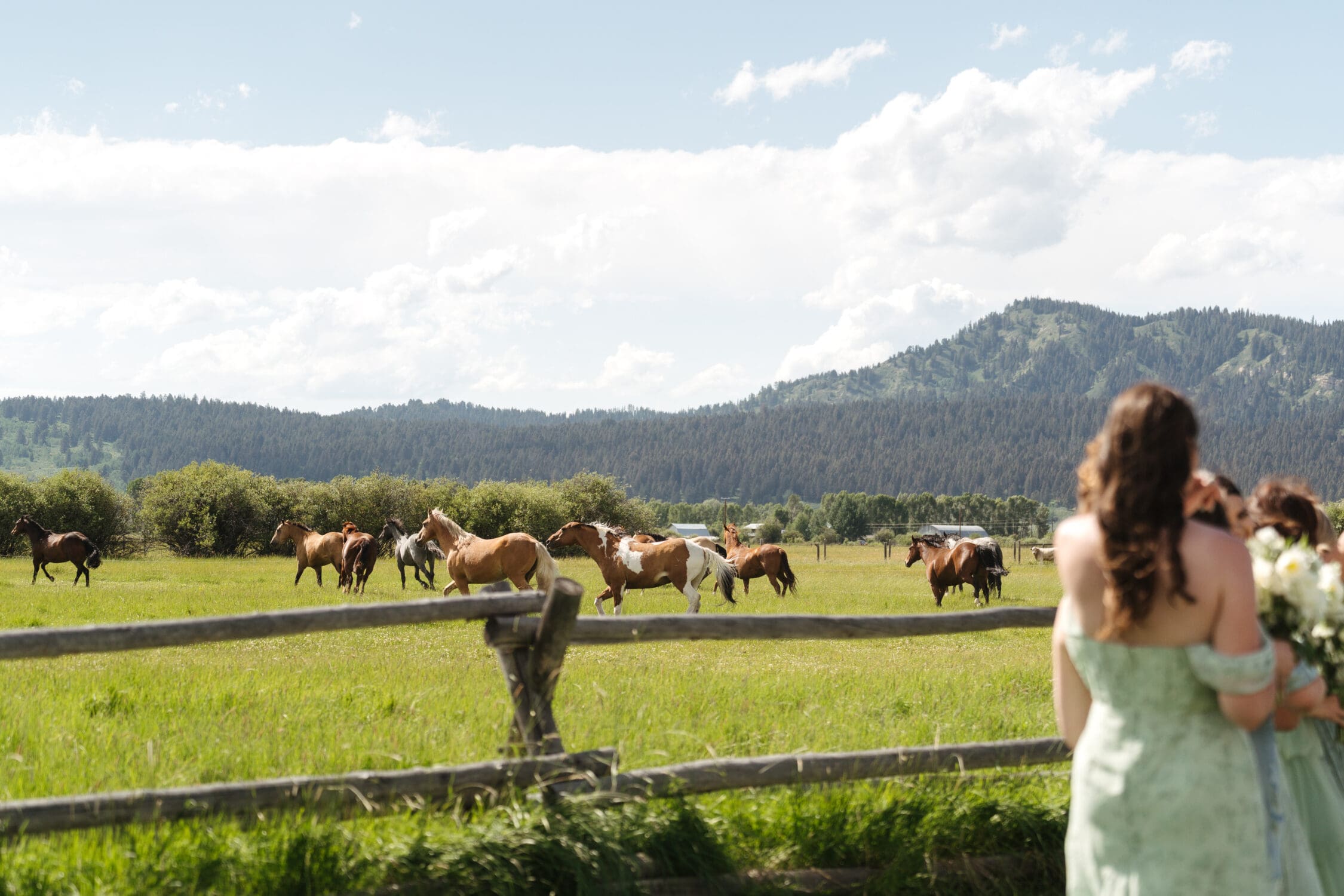 Summer Diamond Cross Ranch Wedding in Jackson Hole, Wyoming