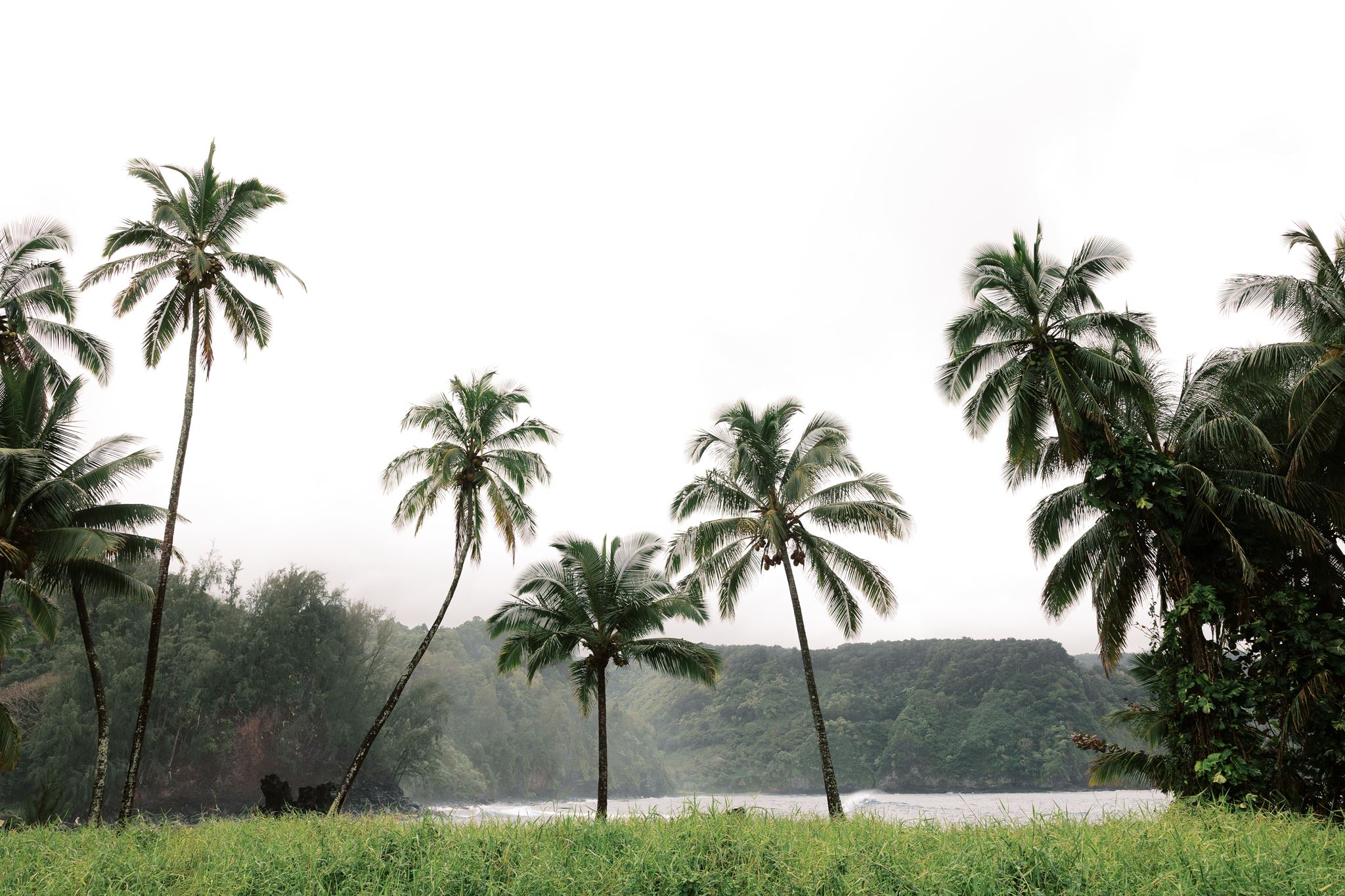 Hawaii Elopement Inspiration